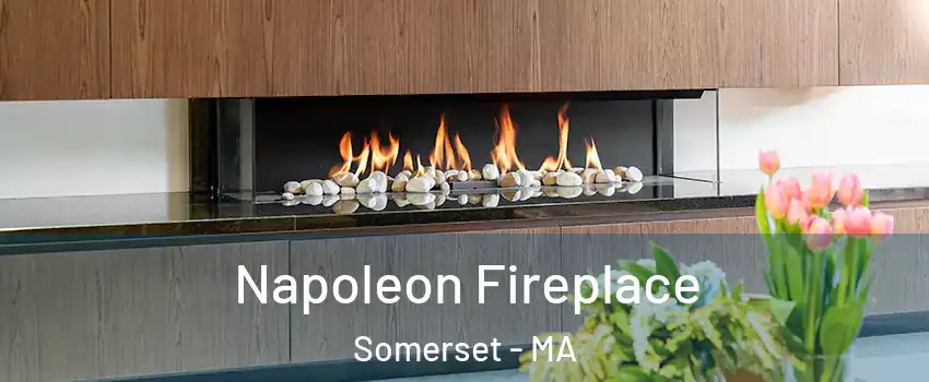  Napoleon Fireplace Somerset - MA